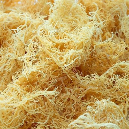 The Sea Moss Revolution - Mosse